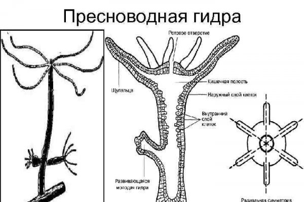 Маркетплейс кракен kraken darknet top